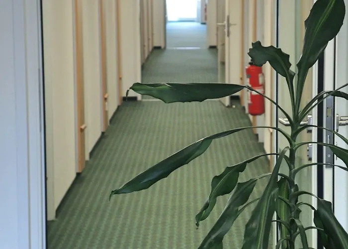 Hotel Frankfurt-messe 3*